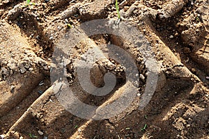 Tractor sand tracks. Agricultural natural ground mark backdrop. Tractor trace texture.