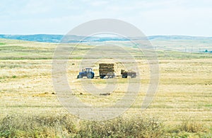 Tractor in the field