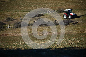 Tractor and some cut trees
