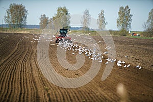 Tractor sowing field