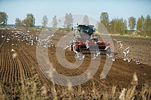 Tractor sowing field