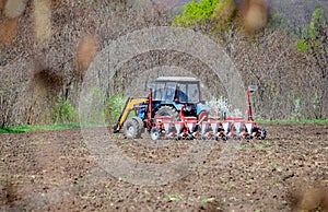 Tractor sows wheat and rye on a plowed field on a spring sunny day