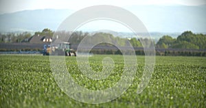 Tractor spray fertilize on field with chemicals in agriculture field.