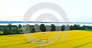 Tractor spray fertilize rapeseed field with insecticide herbicide chemicals.