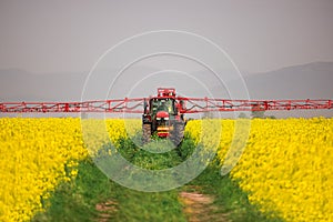 Tractor spray fertilizer spraying pesticides on rapeseed field, agriculture background concept