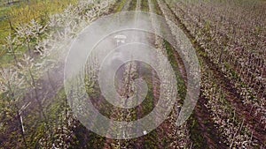 Tractor spraying a blooming apple orchard