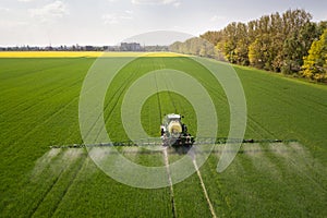 Tractor spraying chemical pesticides with sprayer on the large green agricultural field at spring