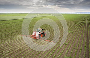 Tractor spraying corn field