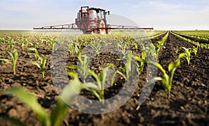 Tractor spraying corn field photo