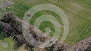 Tractor spraying fertilizer on big green field near forest in spring.