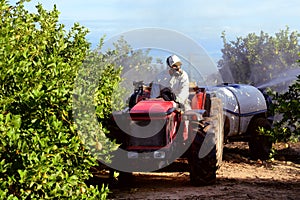Tractor spraying pesticide and insecticide on lemon plantation in Spain. Weed insecticide fumigation. Organic ecological