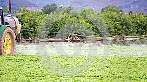 Tractor spraying pesticide, pesticides or insecticide spray on lettuce or iceberg field. Close-up view of pesticide machinary on