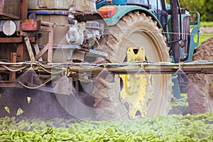 Tractor spraying pesticide, pesticides or insecticide spray on lettuce or iceberg field Pesticides and insecticides on