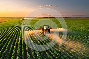 A tractor spraying pesticide on soybean farm at spring sunset.