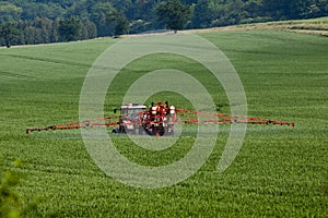 Tractor spraying pesticides on big green field