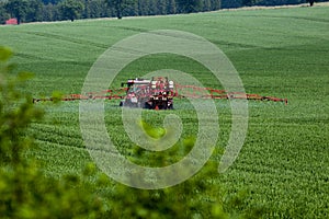 Tractor spraying pesticides on big green field