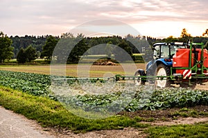 Tractor spraying pesticides on cabbage field