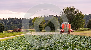 Tractor spraying pesticides on cabbage field