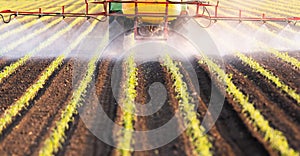Tractor spraying pesticides at  corn field