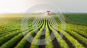 Tractor spraying pesticides at soy bean field photo