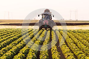 Tractor spraying pesticides on soybean field with sprayer at spring