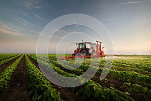 Tractor spraying soybean field