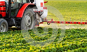 Tractor spraying soybean field at spring