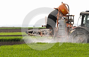 Tractor spraying pesticides wheat field