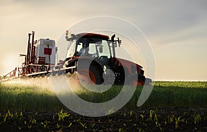 Tractor spraying pesticides wheat field