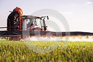 Tractor spraying pesticides wheat field