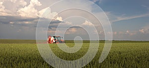 Tractor spraying pesticides wheat field