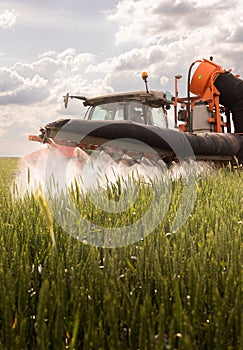 Tractor spraying pesticides wheat field