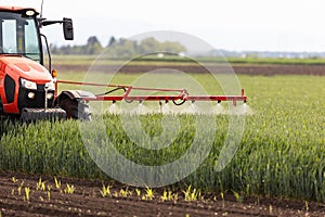 Tractor spraying pesticides wheat field