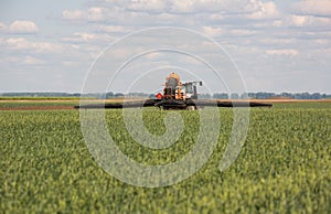 Tractor spraying pesticides wheat field