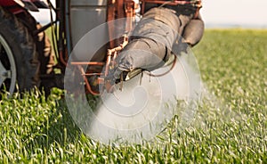 Tractor spraying pesticides wheat field