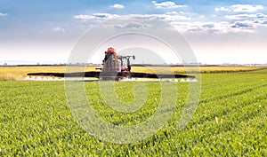 Tractor spraying pesticides wheat field