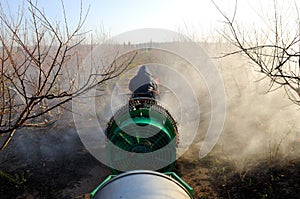 Tractor spraying plantation