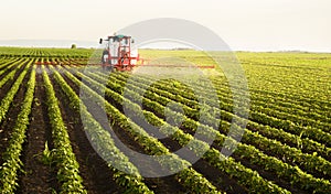 Tractor spraying soy field in sunset