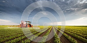 Tractor spraying soy field in sunset