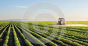 Tractor spraying soybean field