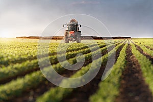 Tractor spraying soybean field