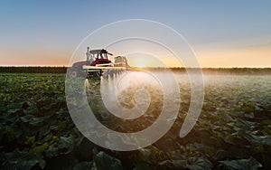 Tractor spraying soybean field