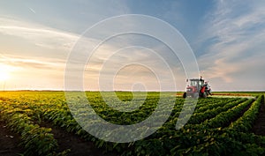 Tractor spraying soybean field