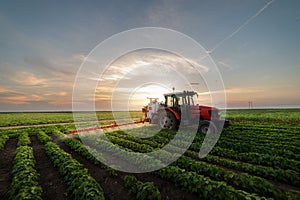 Tractor spraying soybean field