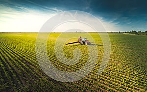 Tractor spraying soybean field at spring