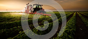 Tractor spraying soybean field at spring