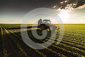 Tractor spraying soybean field at spring