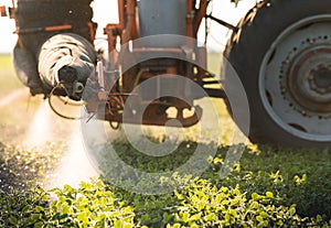 Tractor spraying soybean field at spring