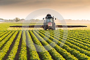 Tractor spraying soybean field at spring