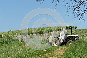 Tractor spraying vineyard